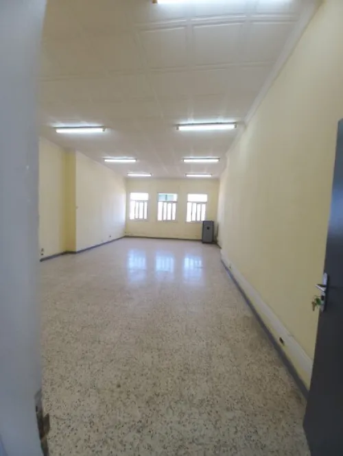 Vente Hangar - Usine Alger Rouiba