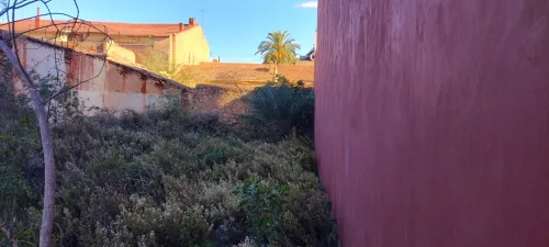 Vente Terrain Aïn Témouchent El malah
