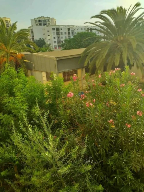 Vente Appartement F4 Alger Bab ezzouar