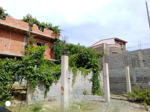 Vente Terrain Aïn Témouchent Tadmaya