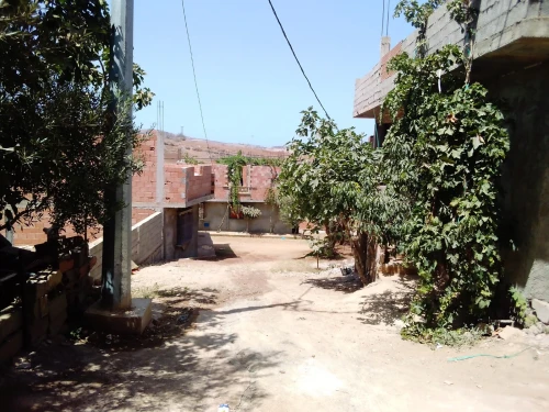 Vente Terrain Aïn Témouchent Tadmaya