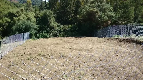 Vente Terrain Tipaza Cherchell