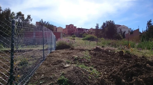 Vente Terrain Tipaza Cherchell