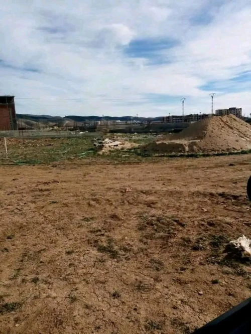 Vente Terrain Tébessa Boulhaf dir