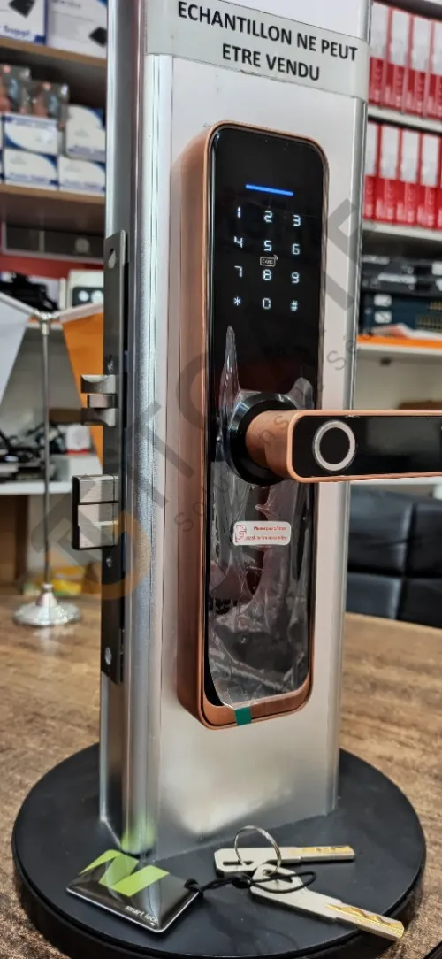 Modèle TZ100