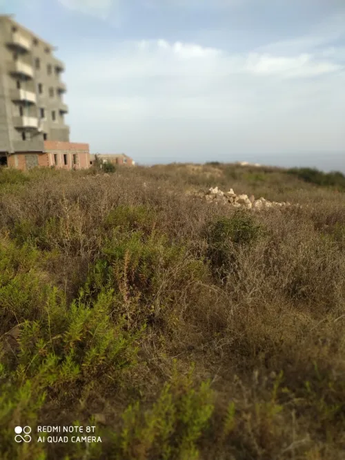 Vente Terrain Tizi Ouzou Tigzirt