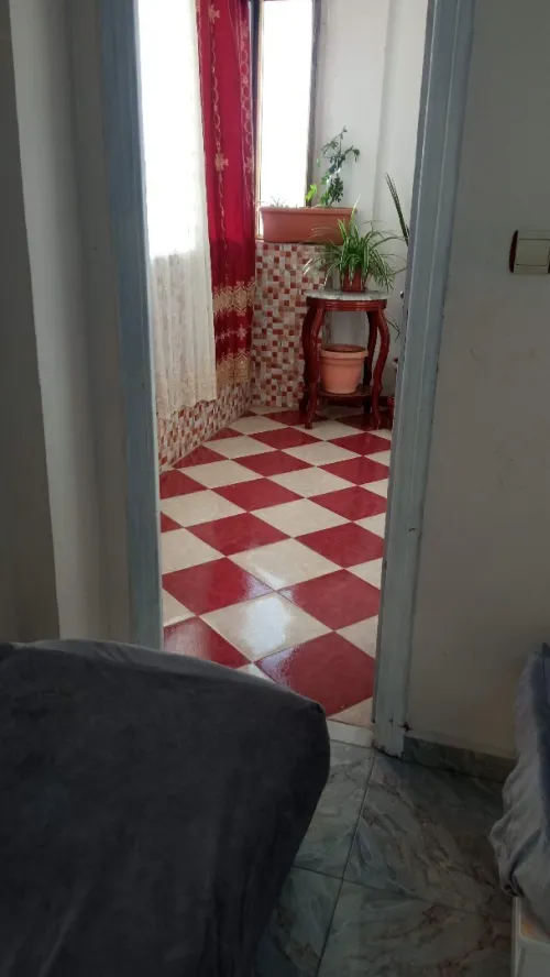 Location Appartement F2 Boumerdès Boumerdes