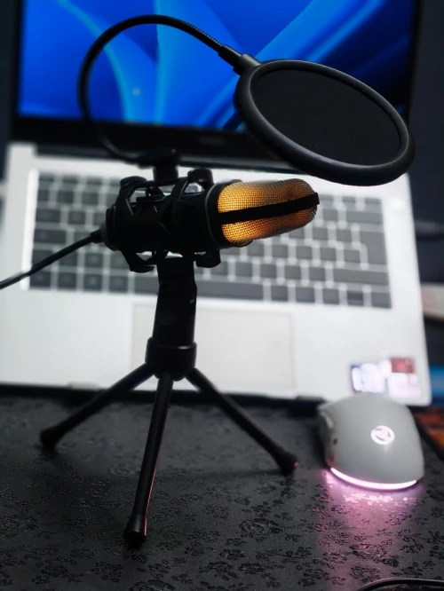MICROPHONE sf-666r