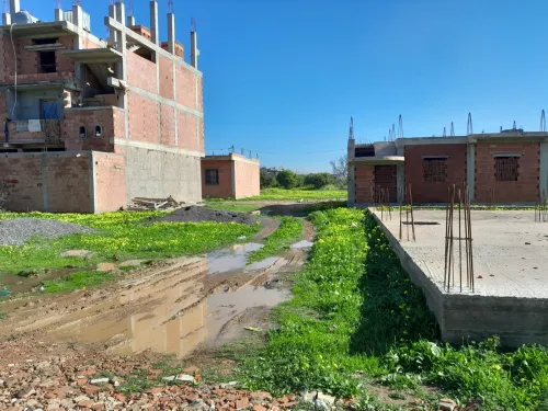 Echange Terrain Blida Larbaa