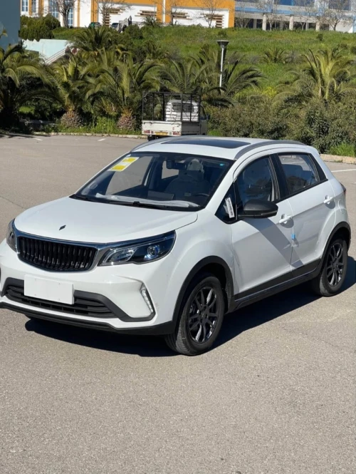 Livan X3 Pro  2026 Automatique international avec toi ouvrant