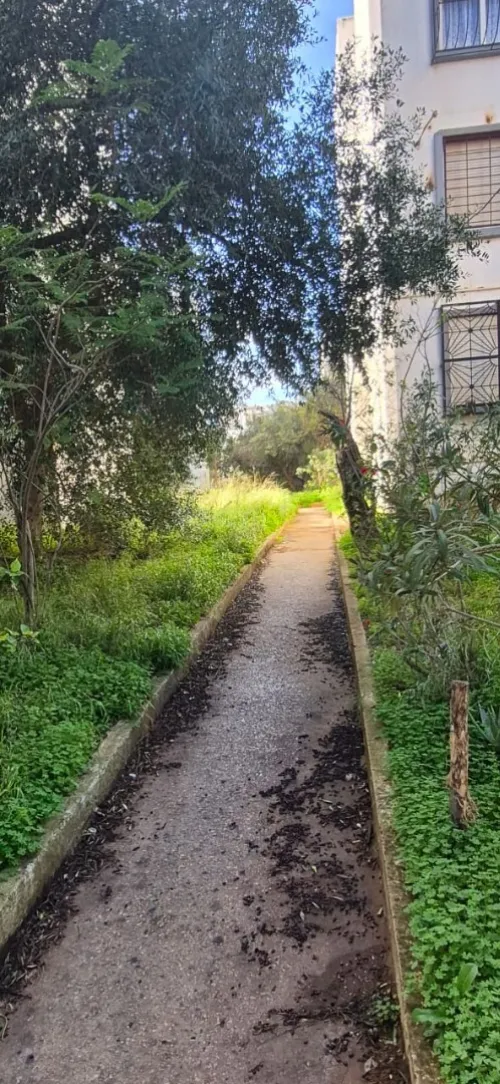 Location Appartement F4 Alger Said hamdine