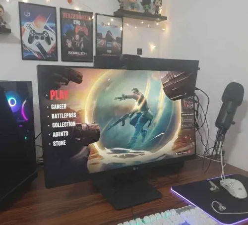 Monitor LG Professional (شاشة/شاشة)