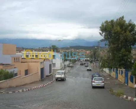 Vente Terrain Bouira Bechloul