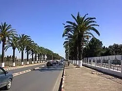 Vente Appartement F3 Alger Mohammadia