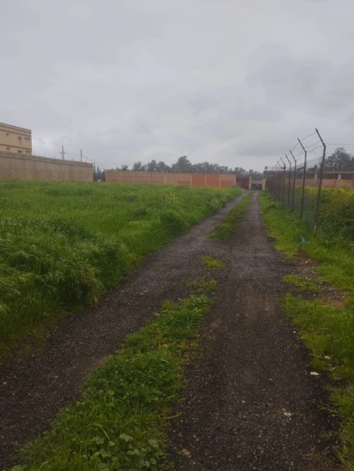 Vente Terrain Chlef Chlef