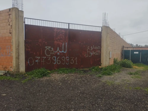 Vente Terrain Chlef Chlef