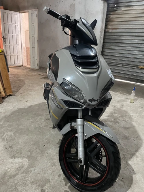 Okinoia Rapido 2019