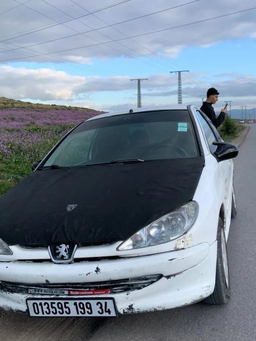 Peugeot 206 1999 206