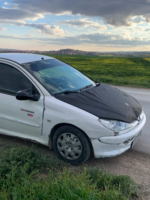Peugeot 206 1999 206