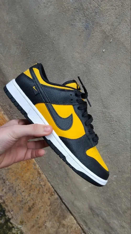 Chaussure nike dunk
