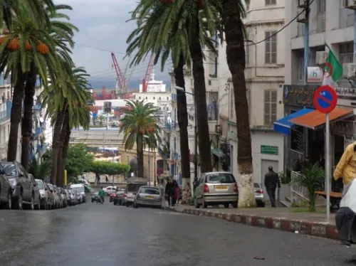 Location Local Alger Alger centre
