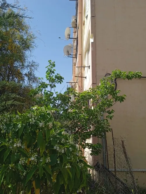 Vente Appartement F3 Boumerdès Boumerdes