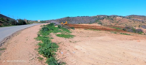 Vente Terrain Tlemcen Souahlia