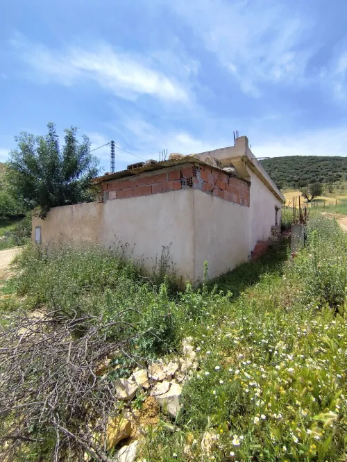 Vente bien immobilier Guelma Hammam nbail