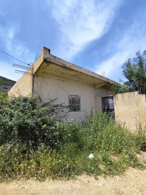 Vente bien immobilier Guelma Hammam nbail