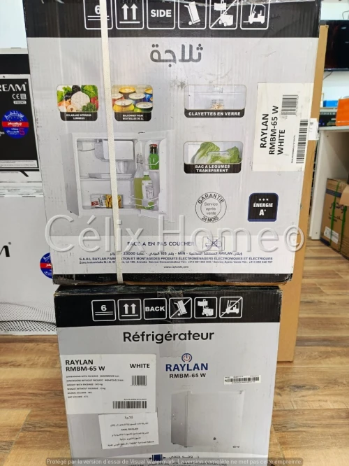 RAYLAN Mini réfrigérateur 47L Blanc/Gris