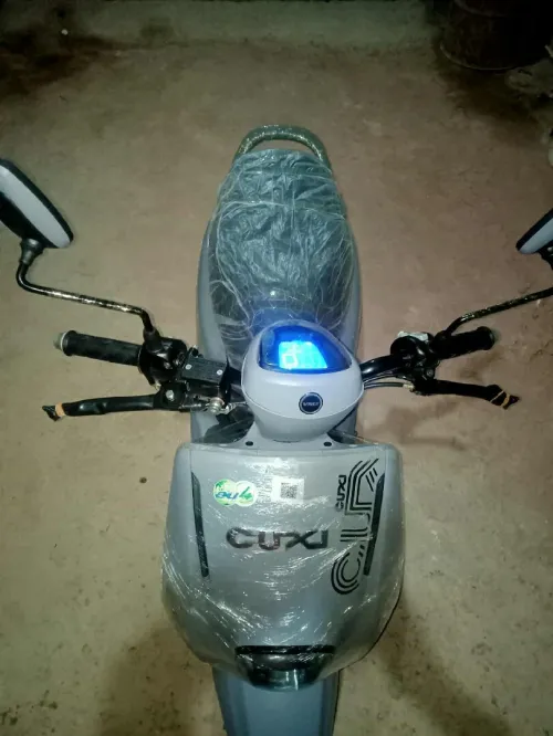Cuxi Cuxi 2 2025
