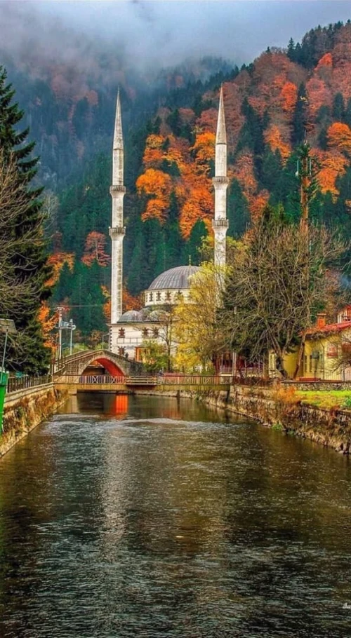 VOYAGE ORGANISE ISTANBUL & TRABZON 