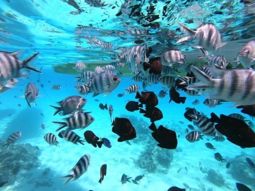 Voyage organisé ZANZIBAR combiné Dar Essalem/ Stone Town/ Nungwi été 2025