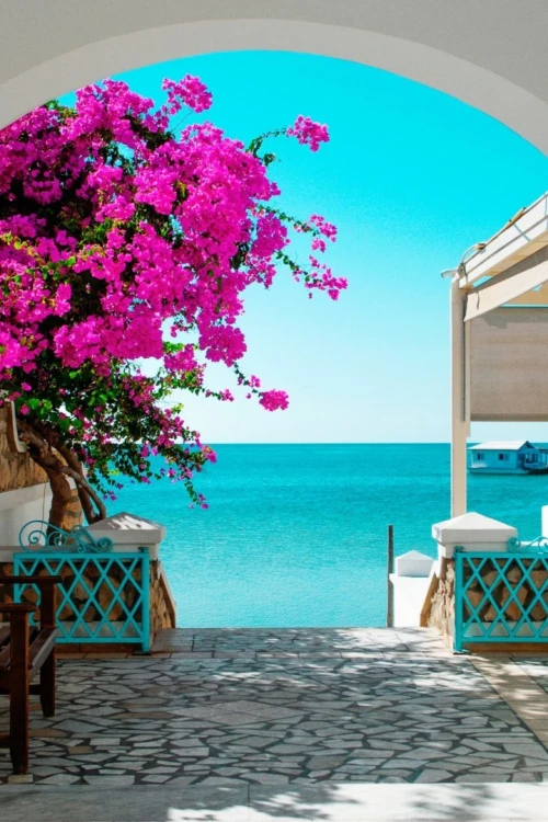 PROMO Réveillon 2025 Tunisie par Avion
