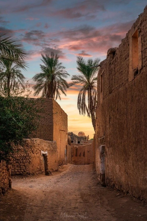 VOYAGE ORGANISE a Biskra spécial fin d'années