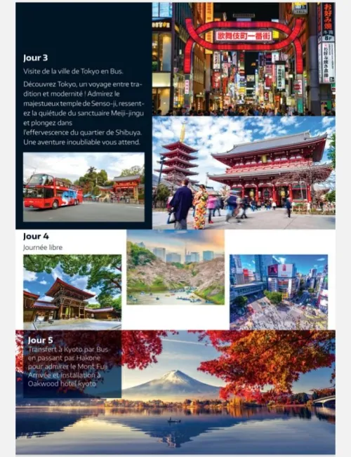 Combiné Japan/ Thaïlande/ Qatar été 2025