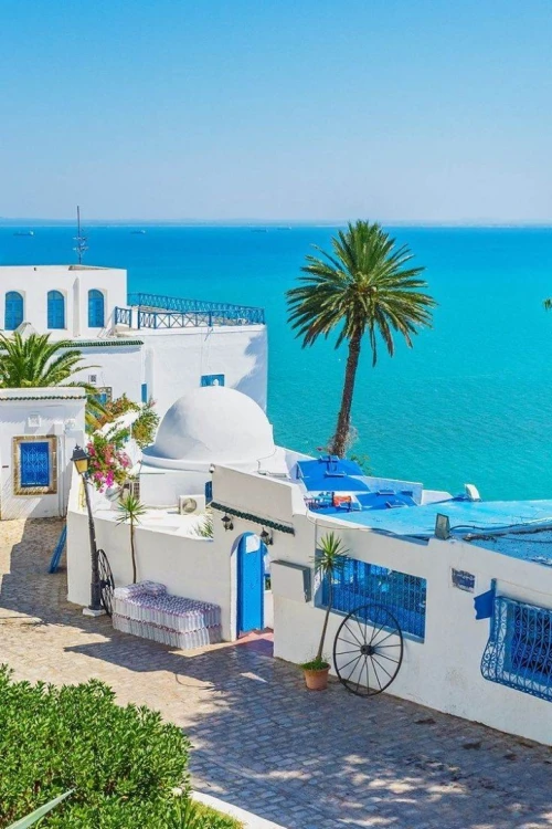 Tunisie fin d'année par Bus