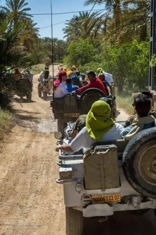 BISKRA & SAFARI OULED DJELEL spécial réveillon 2025