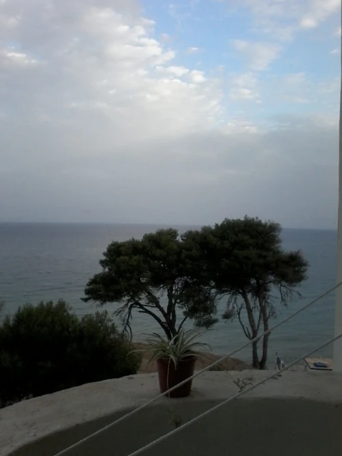 Location Appartement F3 Tipaza Messelmoun