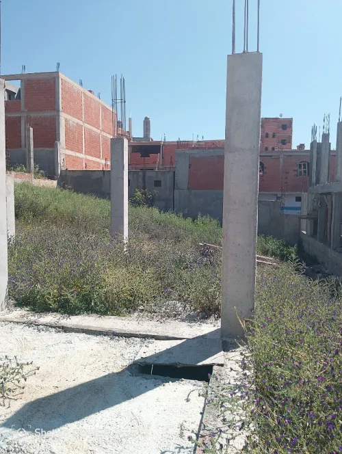 Vente Terrain Boumerdès Ouled moussa
