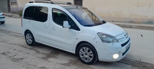 Citroen Berlingo 2010 Berlingo