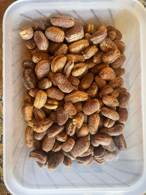 Graines de chia