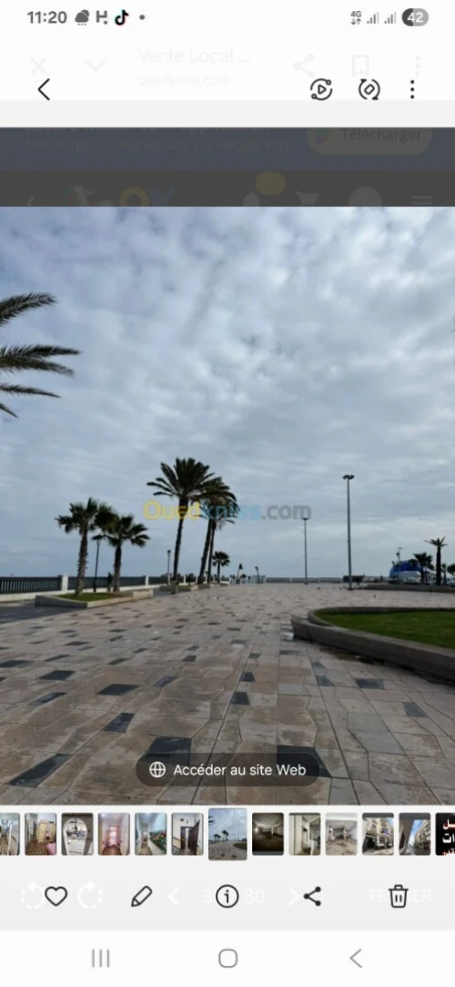 Location Local Alger Bab el oued