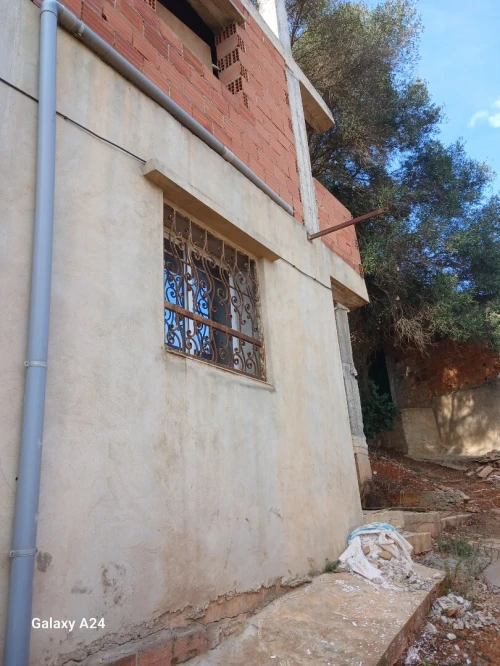 Vente Villa Alger Bab el oued
