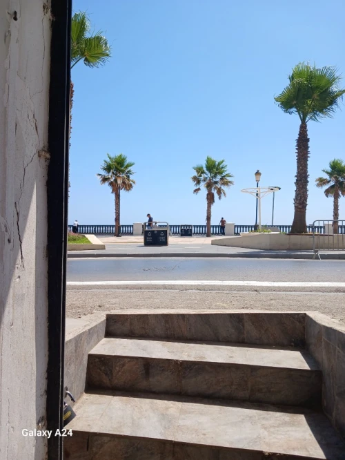 Location Local Alger Bab el oued