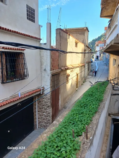 Location Appartement F2 Alger Bab el oued