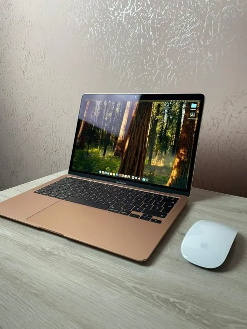 Macbook Air 13 INCH 2020 M1 + Magic mouse