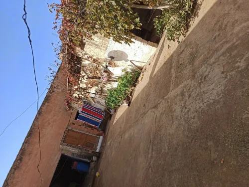 Vente Terrain Oran Sidi chami