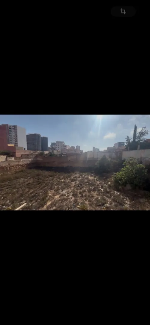 Vente Terrain Oran Bir el djir