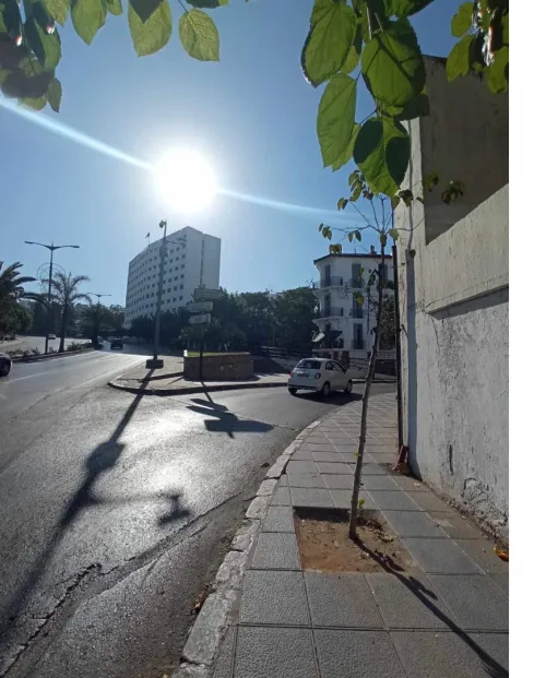 Location Local Alger Sidi mhamed
